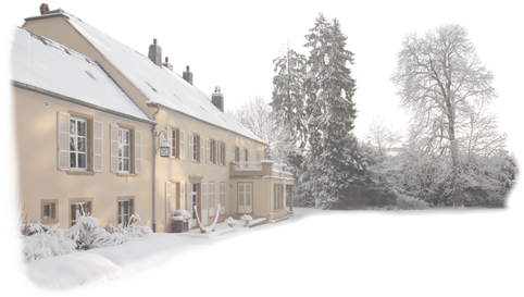 Description : C:\TEMP\ArtConseil.lu\0.png